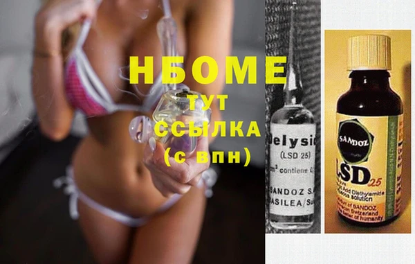 гидра Вязьма
