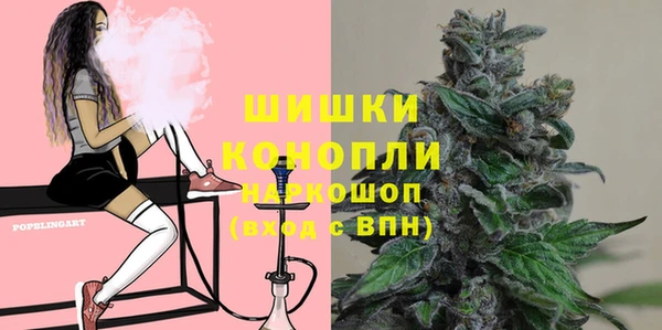 гидра Вязьма